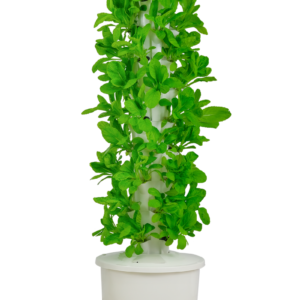 Hydroponic Vertical Garden